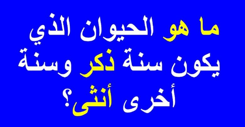 ماهو الحيوان الذي يكون سنه ذكر وسنه انثى